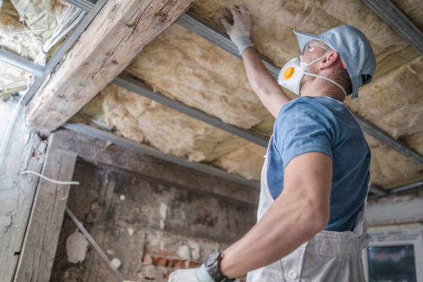 Best Blown-in Insulation in Oakville, MO