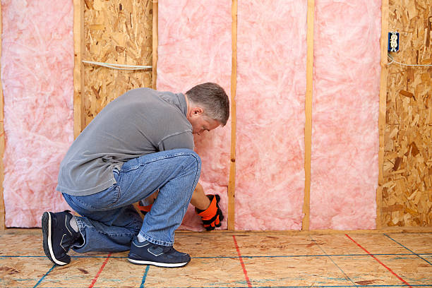 Best Spray Foam Insulation in Oakville, MO