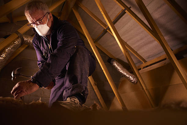 Best Geographic-Specific Insulation Services in Oakville, MO