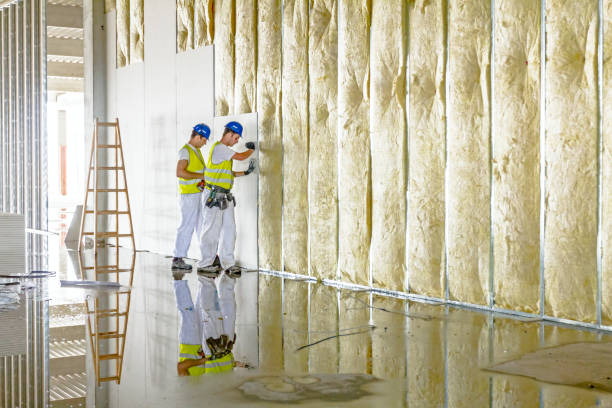 Best Insulation for Specific Applications in Oakville, MO